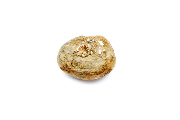 Rotten spoiled potatoes on an isolated white background. Vegetable unsuitable food because of mold.