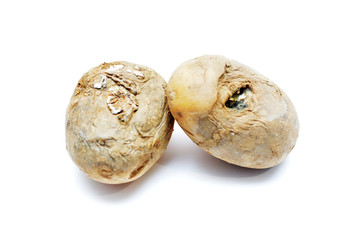 Rotten spoiled potatoes on an isolated white background. Vegetable unsuitable food because of mold.