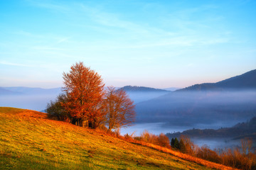 Fototapeta na wymiar Scenic autumn mountain landscape