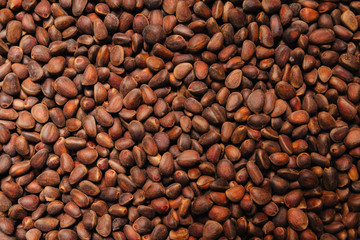 Pine nuts. Textured background for wallpaper.