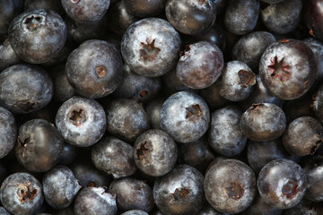 Background formed with ripe blueberry	