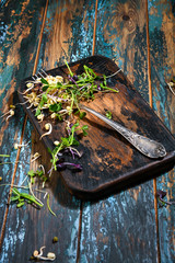 Microgreen on antique fork on burned-out kitchen board on rough dyed wooden blue table.