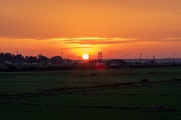 Sun setting into the paddy field