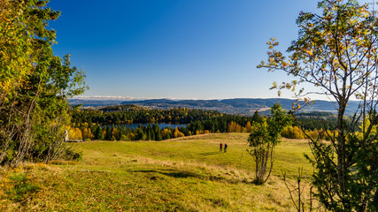 Fototapeta premium go for a walk in nature