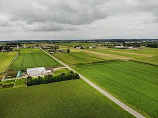 Obraz premium Dutch green fields at country side