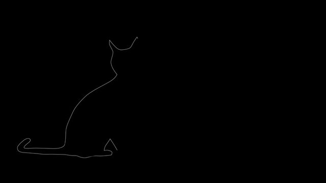 Self drawing line art sketch of cat silhouette. Black background. Copy space. Hand drawn sketch. 