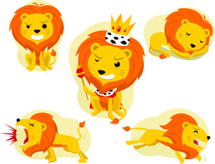 Fototapeta premium lion