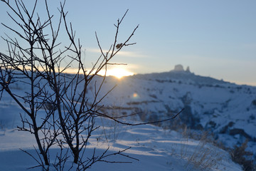 A tree in sunset sun beams in winter in Goreme, Cappadocia
