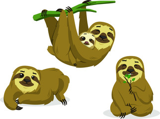 sloth © Joaquin