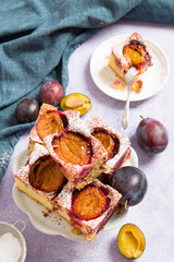 Tasty plum cake with pieces of fruit and powdered sugar on a light background