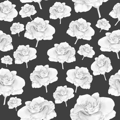White roses on the dark background. Graphic illustration. Seamless pattern.