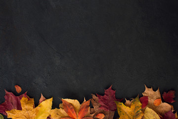 Autumn leaves background. Flat lay, top view, copy space