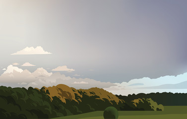 Gray sky lanscape. Vector illustration with forest and sky.