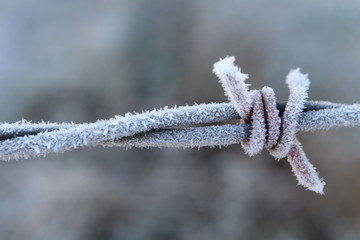 Closeup of hoary frost covering a strand of barbed wire on a fence, shallow depth of field, partially blurred, bokeh