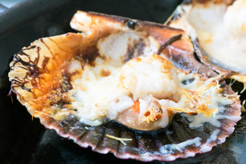 Baked scallops with cheese and spicy sauce. Delicate clam is a real pleasure. Romantic dinner at a Spanish fish restaurant. Mallorca Island, Spain.