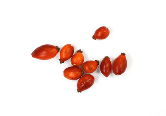 Rose hips (Rosa canina),close-up isolated on white background