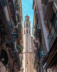 Obraz premium Barcelona Cathedral, Gothic Quarter, Barcelona