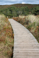 Wooden Footpath and Nature at Xago Beach; Asturias