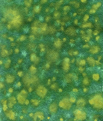 Abstract watercolor background with texture of paper, green and yellow colors,  hand draw, splashes, drops of paint, paint smears. Design for backgrounds, wallpapers, prints, covers and packaging