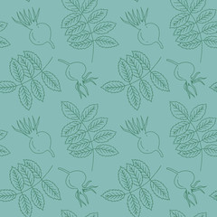 Dog rose leaves and fruit hand drawn seamless pattern. Green elements on light green background. Good for fabric, textile, wrapping paper, wallpaper, baby room, kitchen, packaging, paper, print, etc. 