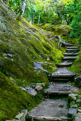 Ginkakuji-temple garden covered with moss. Sakyo-ku, Kyoto, Japan