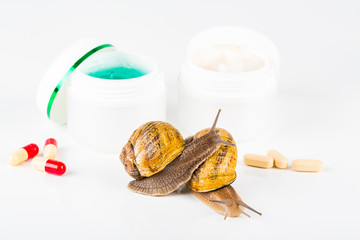 Cosmetics made with snail slime. Very healthy and organic products