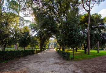 Path in a park leading to a building with columns