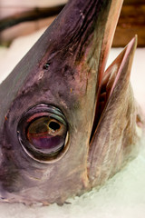 Yellowfin Tuna Head at the San Miguel Market, Madrid, Spain.