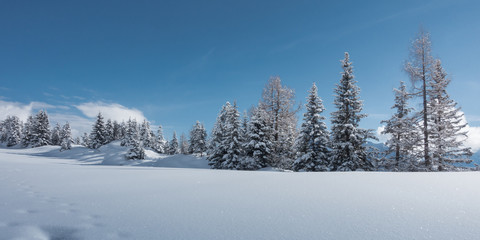 Panorama einer Winterlandschaft mit Winterwald im Zillertal in Tirol