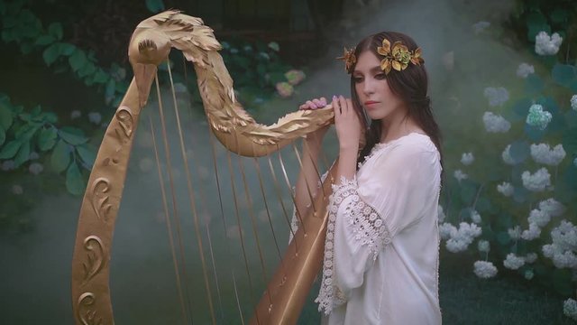 Mysterious brunette girl with love hugs touches elven old harp. Greek glamorous goddess with golden laurel wreath. Background thick fog blooming garden of hydrangea roses, green grass. Fashion Design