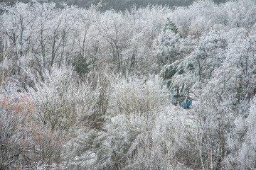 Beautiful winter panorama in the open air. Trees in a park covered by snow. Top view of the icy...