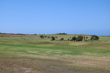 Obraz premium Dee Why Lagoon to Long Reef Headland, Sydney Australia