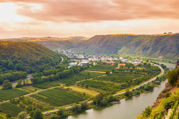 Winningen vineyards wine region, the Moselle river and Moselle Viaduct panoramic view