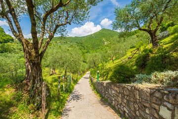 Fototapeta na wymiar Rural landscape at Renzano near Salo, Brescia region Lombardy Italy