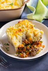 Shepherd's Pie or Cottage Pie on plate, gray backgroud. Vertical image