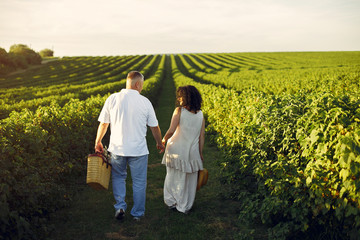 Aduld couple in a summer field. Handsome senior in a white shirt. Woman in a white dress