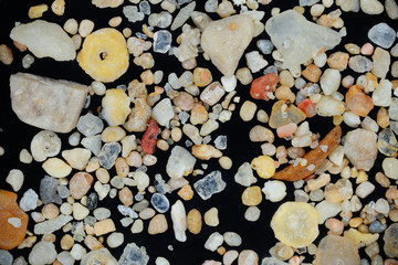 Extreme close-up of coral sand grains
