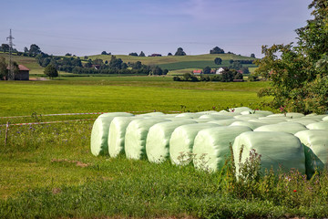 Hay bales that are packed with foil store in a meadow for winter fodder