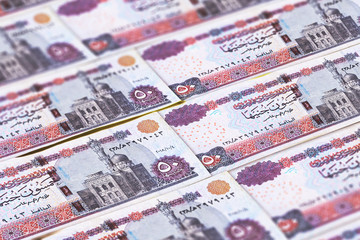 EGP. Money of Egypt. Egyptian pounds background. Macro photo
