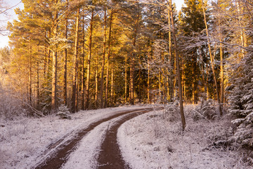 New Snow