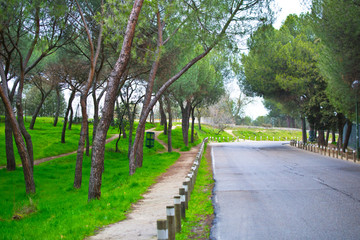 Park Casa de Campo in Madrid, Spain