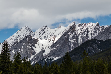 Fototapeta premium snow capped mountains in summer at banff