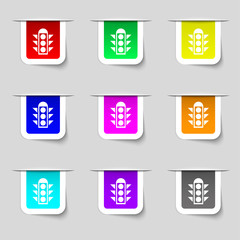 Traffic light signal icon sign. Set of multicolored modern labels for your design. 