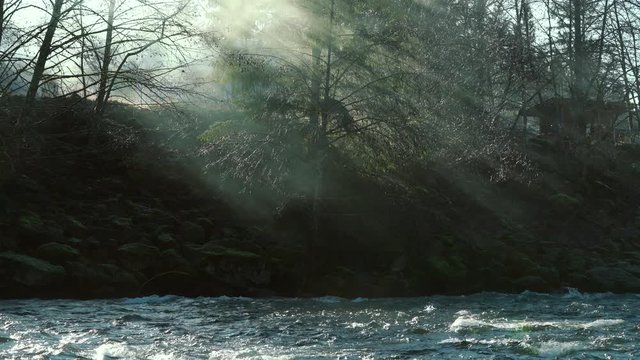 Morning misty fog in trees and forest above flowing river