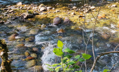 Shimmering cascades and bountiful boulders on the North Fork Sauk River in the Summertime off the Mountain Loop Highway in Silverton Washington State Snohomish County