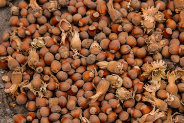 A bunch of fresh ripe hazelnuts on an old stump. Shallow depth of field. Food protein. Peanut Butter Advertising. Background image of a pattern of orchids.