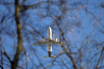Passagierflugzeug überfliegt Waldgebiet in geringer Höhe - Stockfoto
