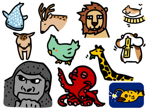 11種の動物の線画セット
