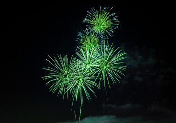 Fireworks in the Dark Sky Background