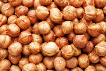 Many tasty hazelnuts as background